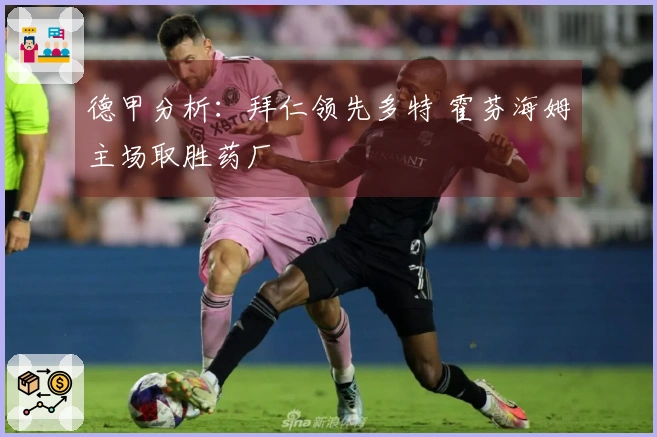 德甲分析：拜仁领先多特 霍芬海姆主场取胜药厂