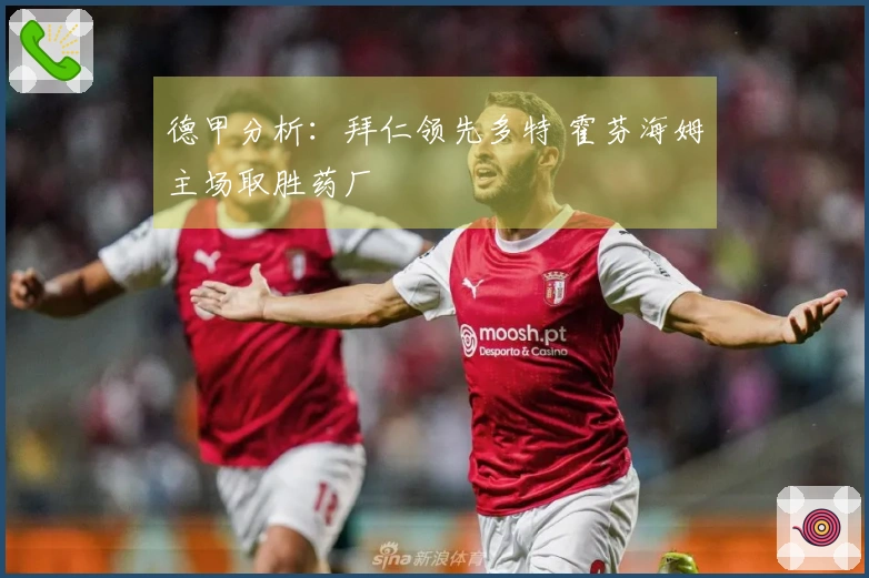 德甲分析：拜仁领先多特 霍芬海姆主场取胜药厂